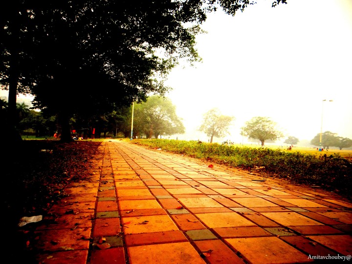 last Evening....