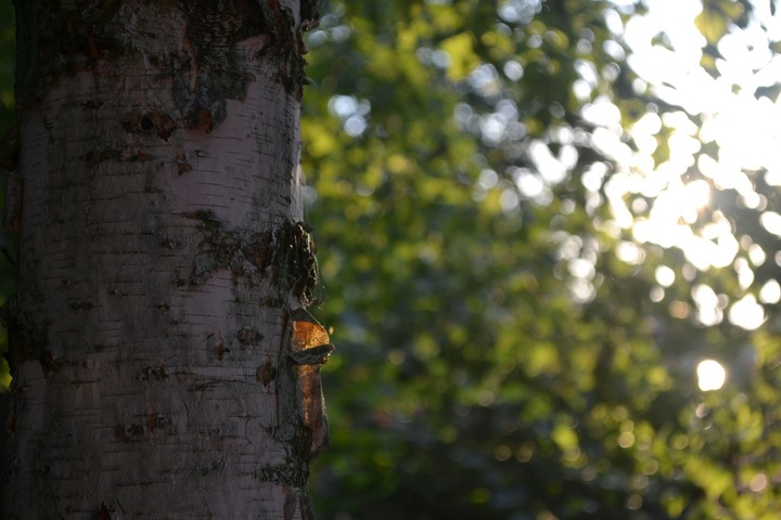 sunny summer! лето ето прекрасно