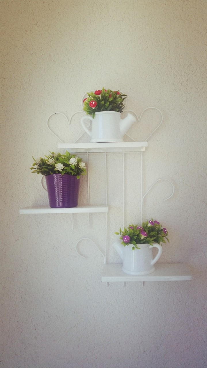 Wall Flowers