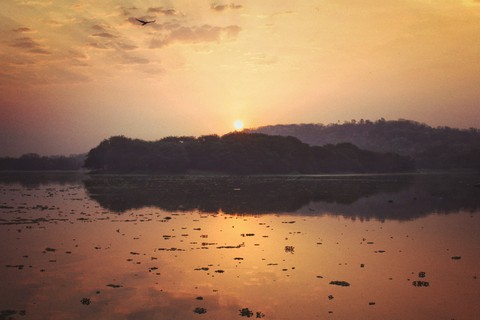 Golden Hour