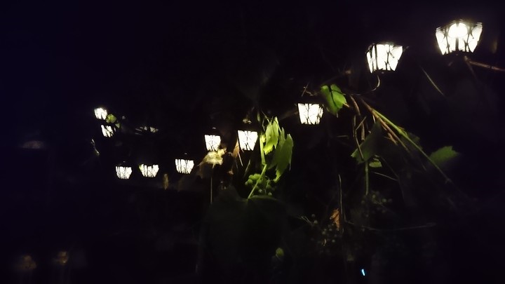 nocne posiedzenia
