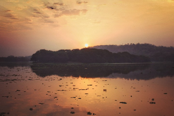Golden Hour