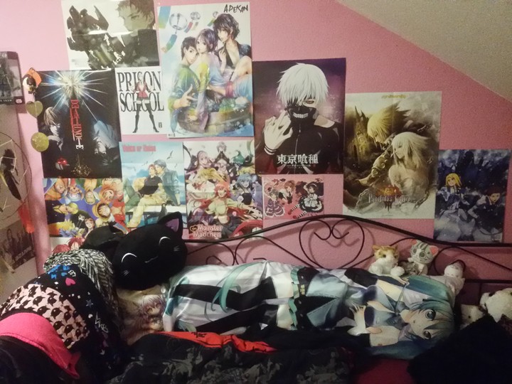 My Otaku Room!