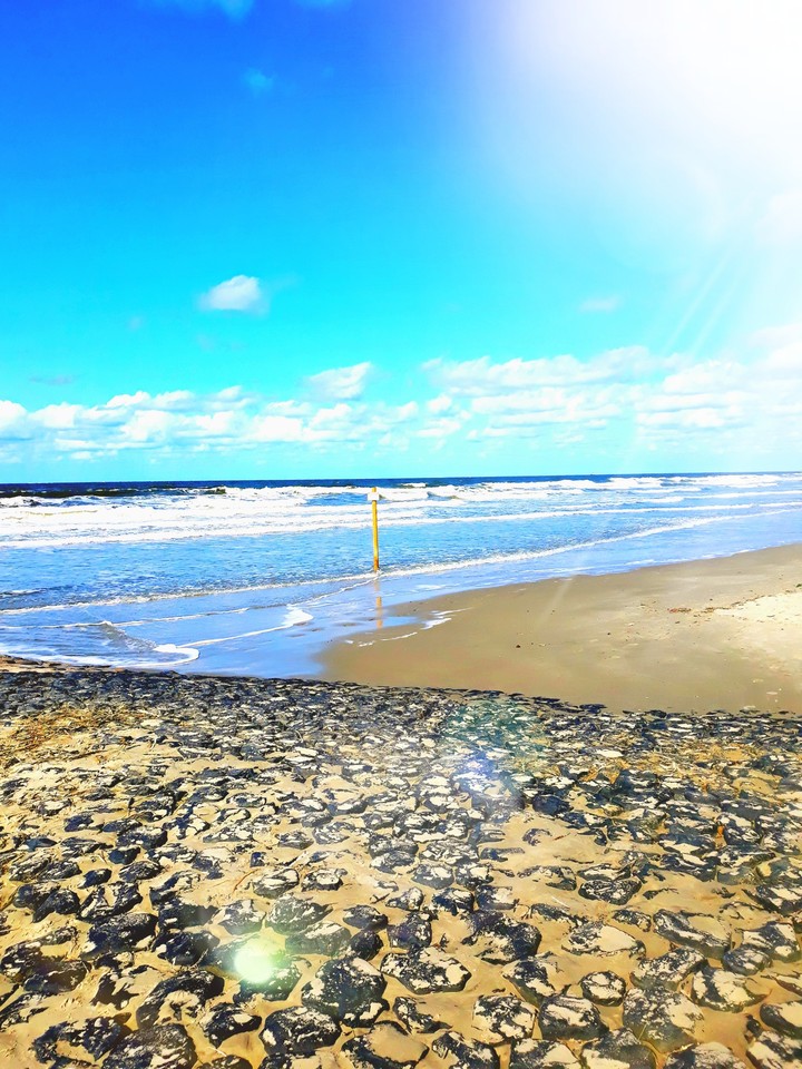 beach