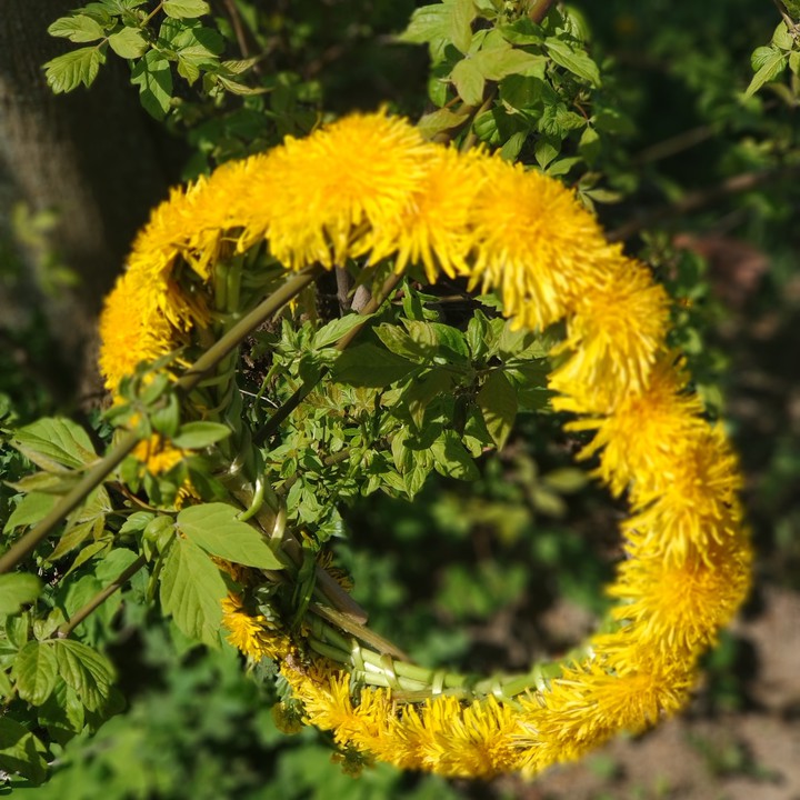 spring