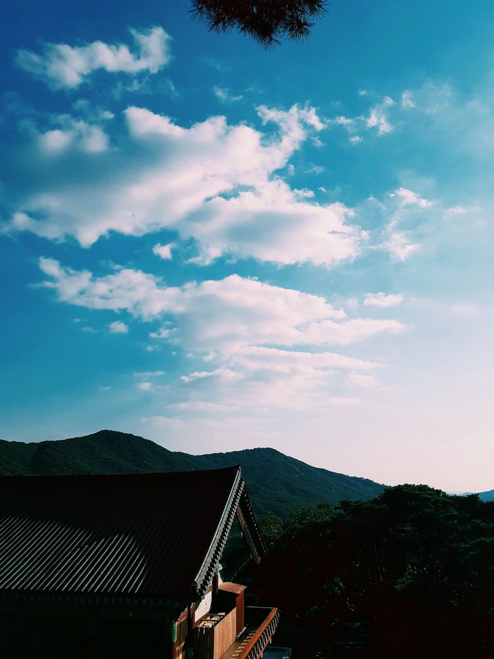 Sky