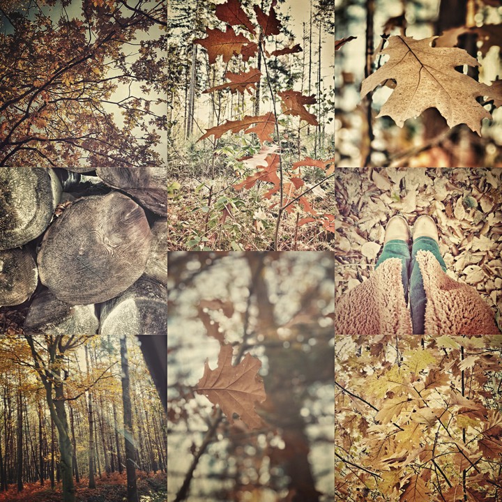 autumn