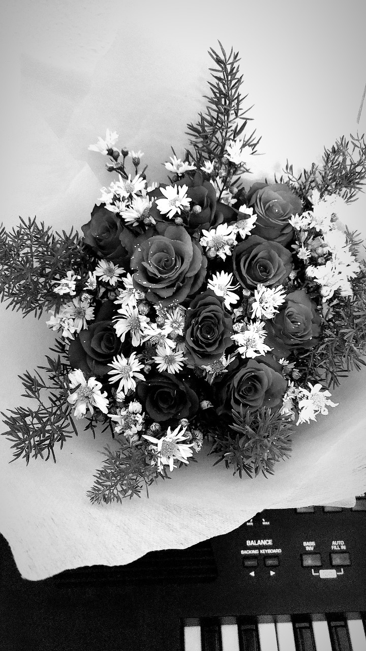 happy women's day!