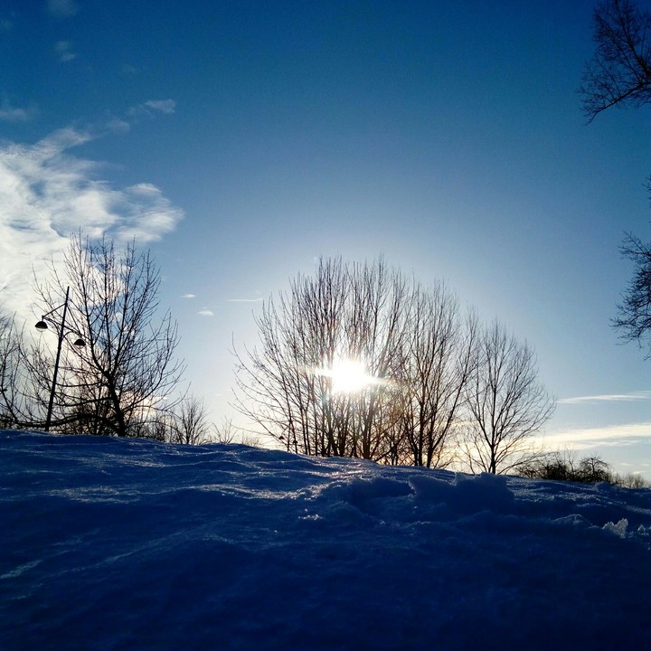 Winter sun