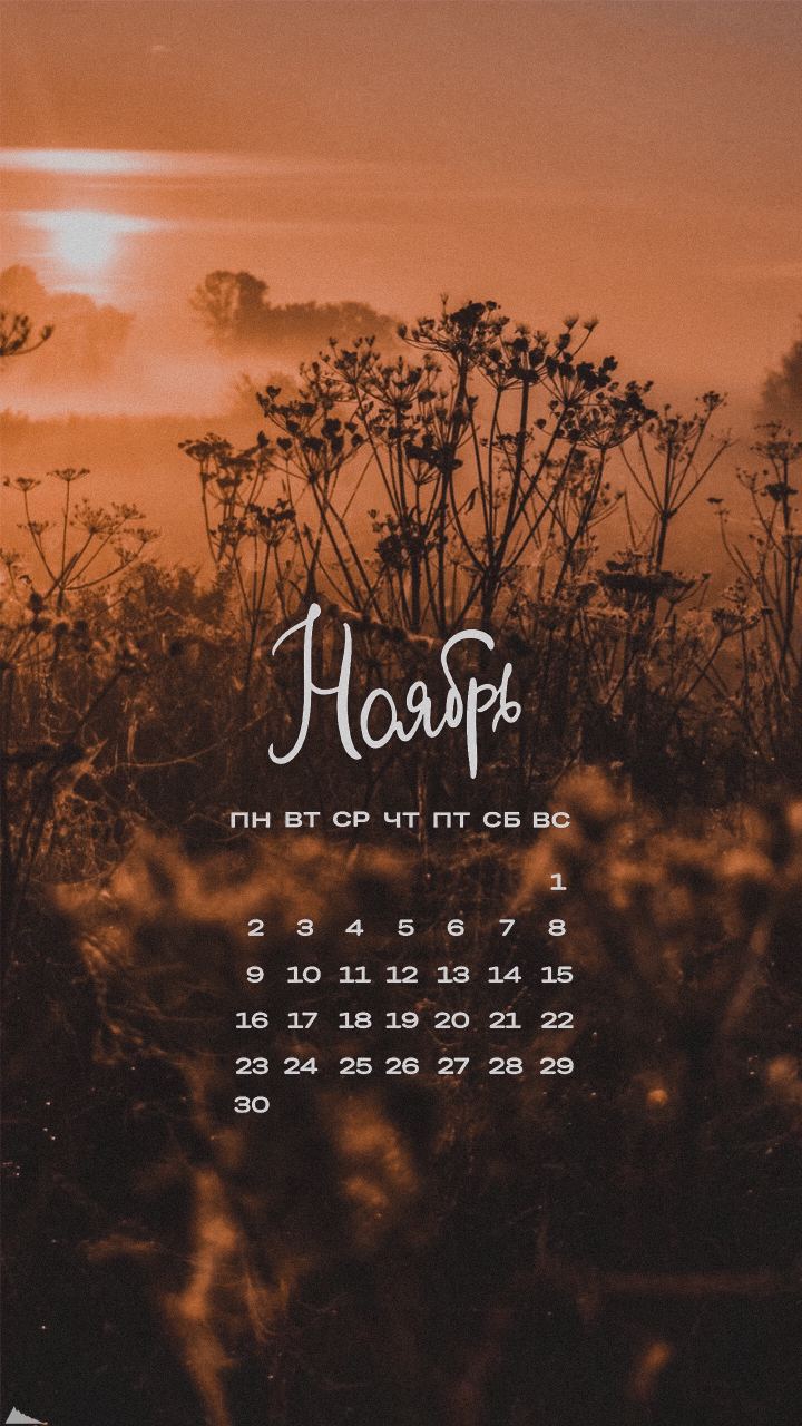 Ноябрь
