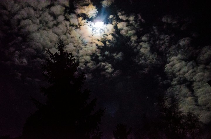 Silvester Sky