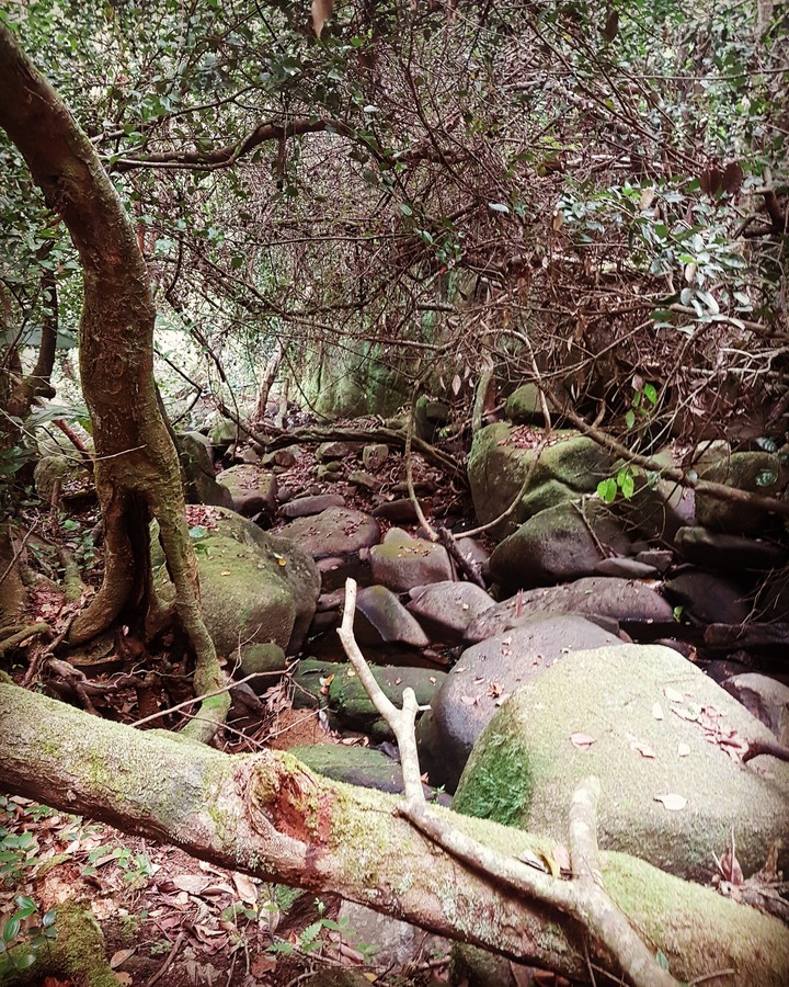 salazie trail