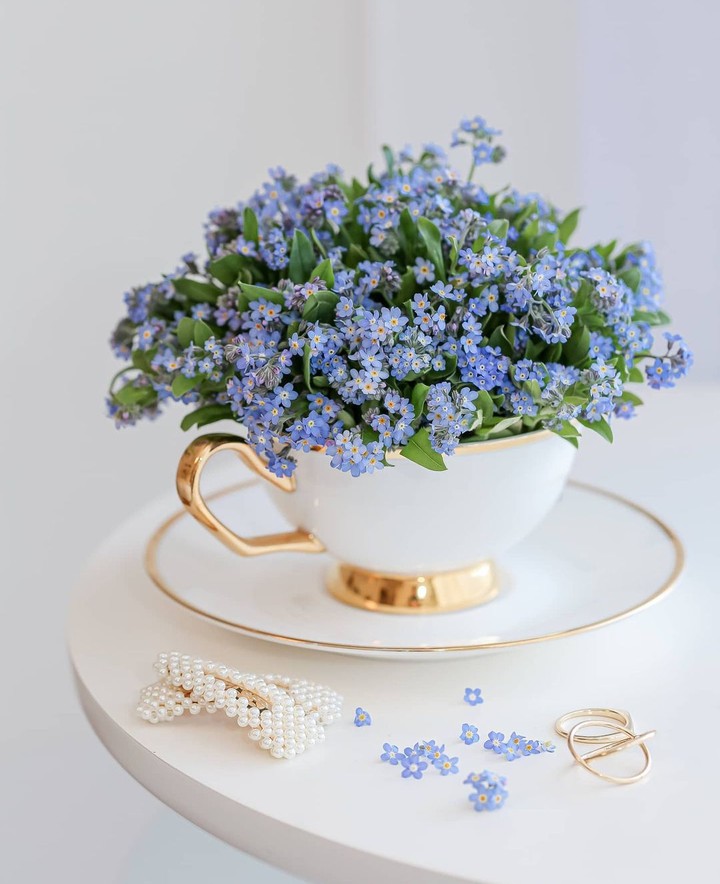 Forgetmenot