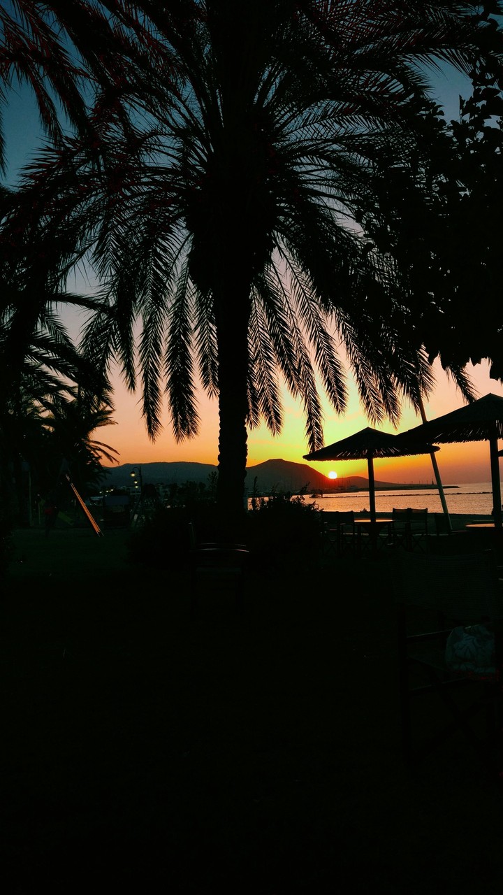 Sunset under palmtrees
