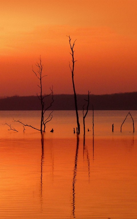 Morning Silhouettes at the Squan Reservoir