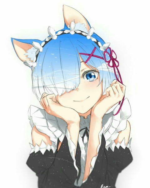 anime cate