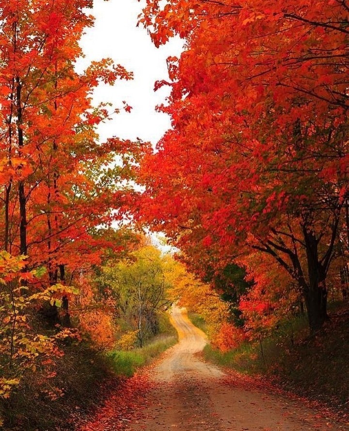 #autumn