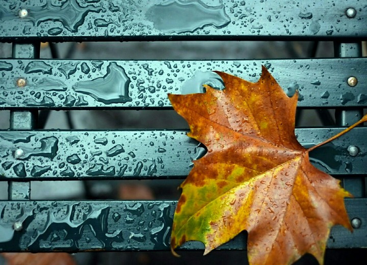 welcome fall❤??