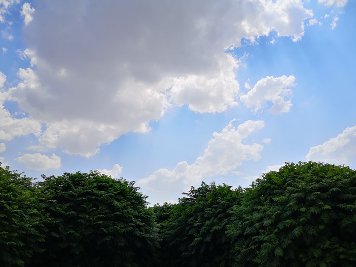 cloud