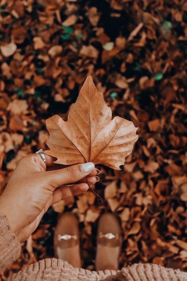 autumn