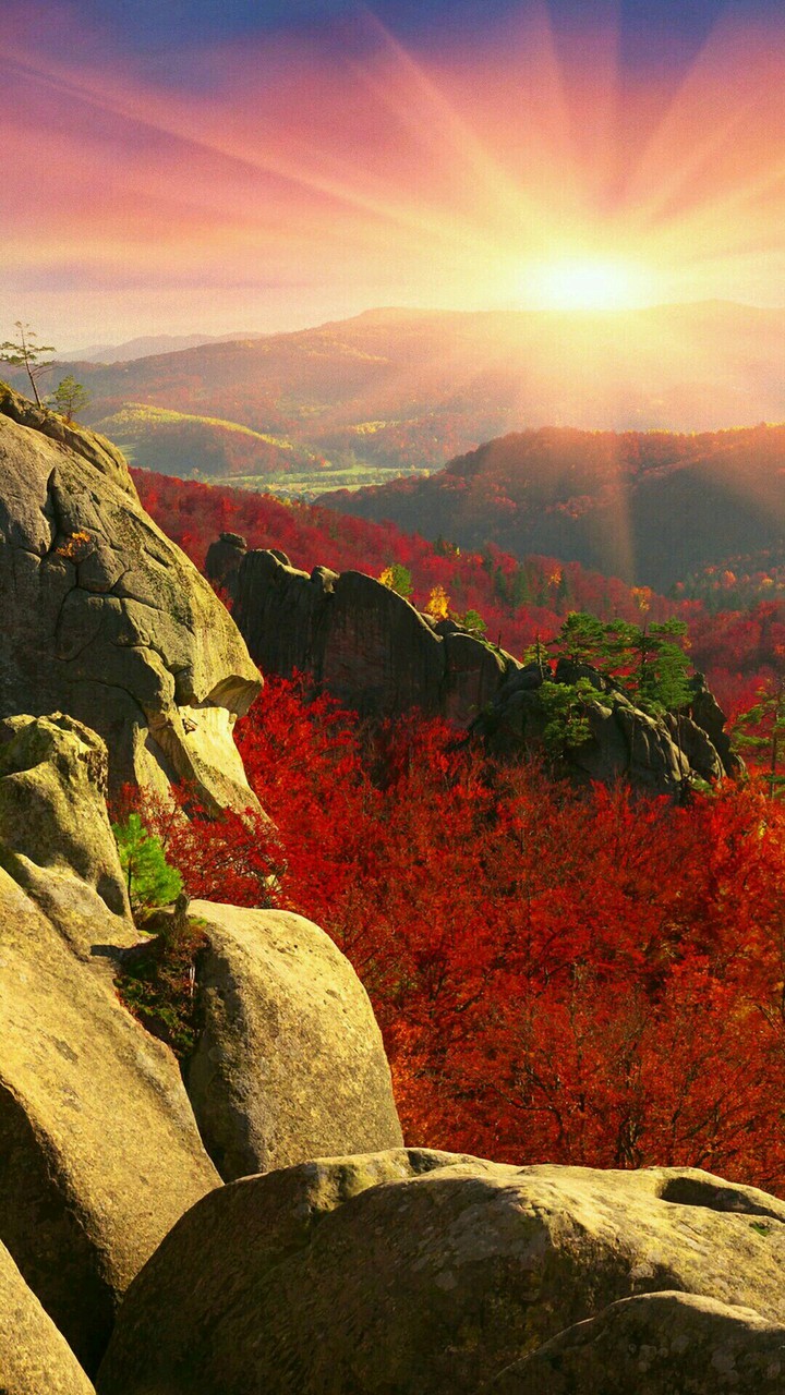 Sunrise