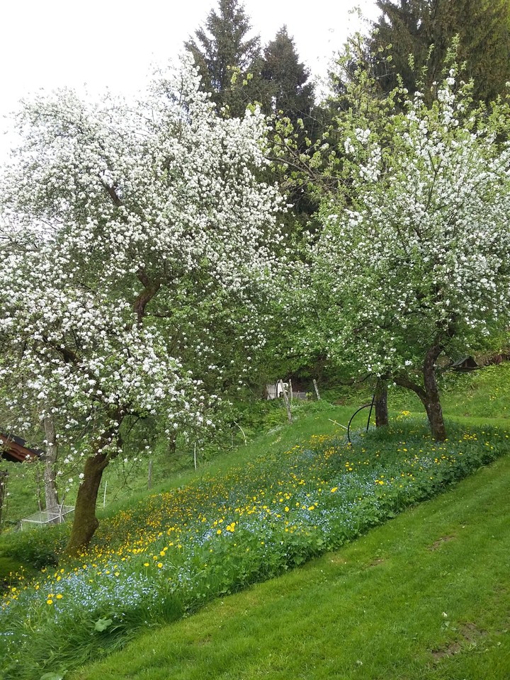 Welcoming spring