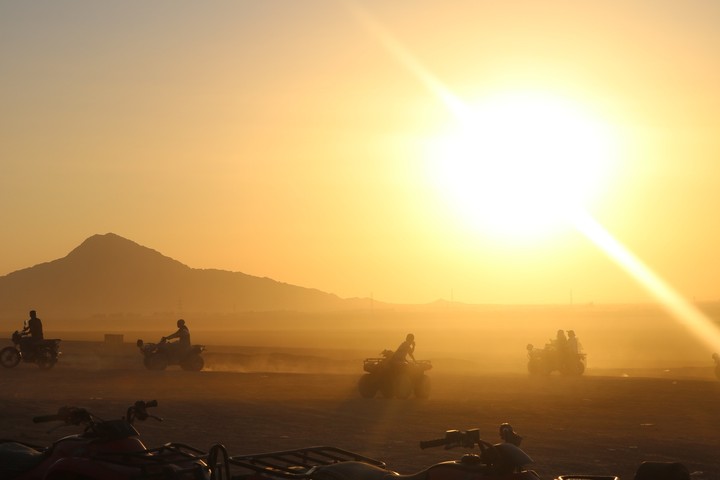 sunrise safari