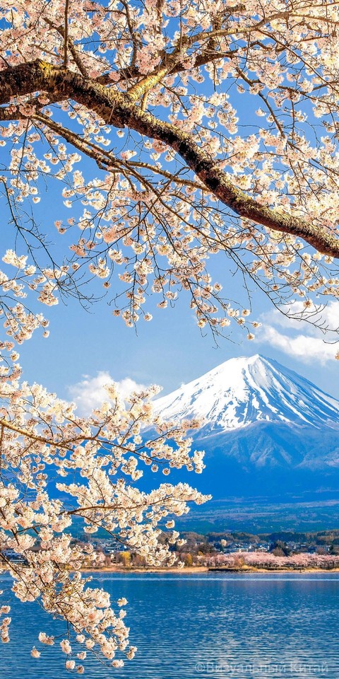 Fujiyama
