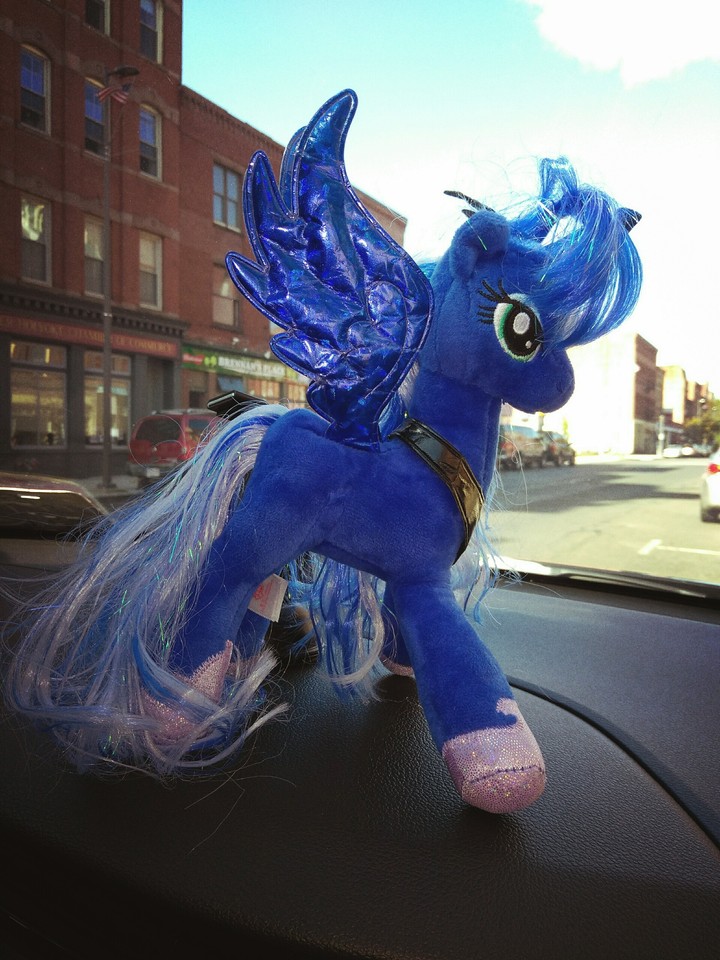 Princess Luna
