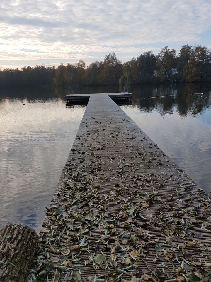 Weg der Blätter