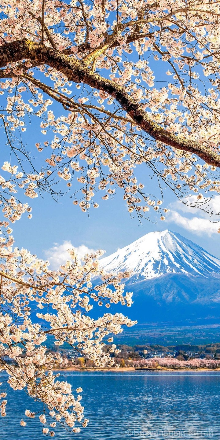 Fujiyama