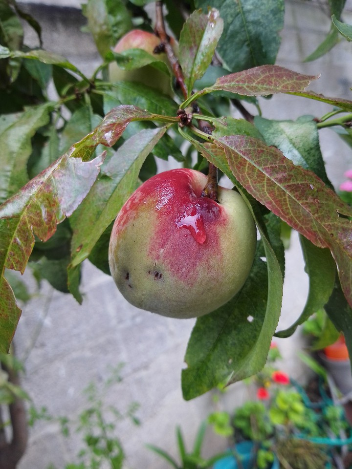 .