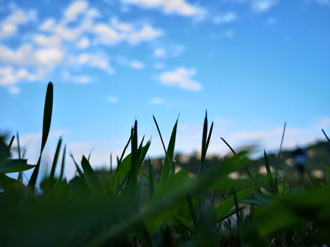 Green and blue...