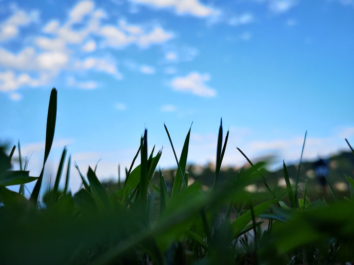Green and blue...