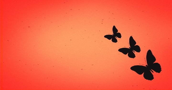 Solitary