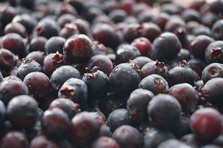 Blackcurrant