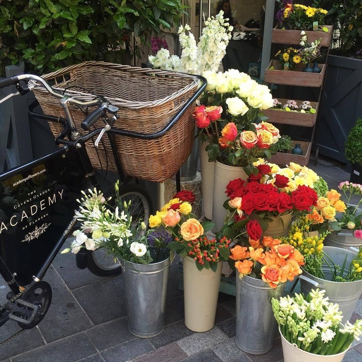 sweet flowers