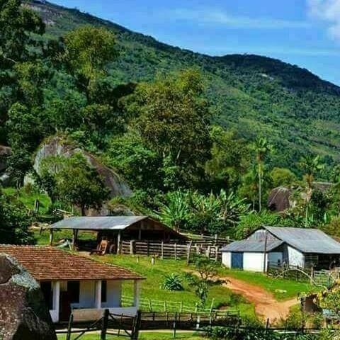Paisaje Campestre