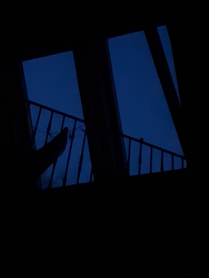 Windows looking at the night sky