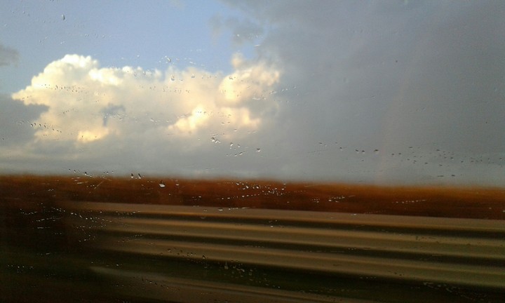 rain in the street