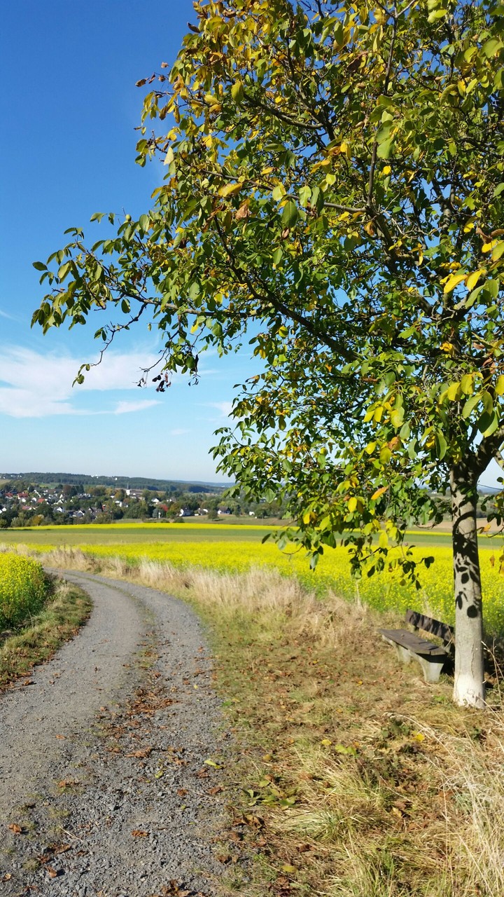 Am Wegesrand