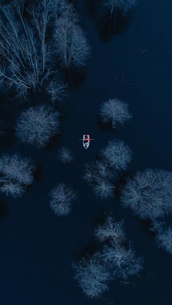 River in Forest