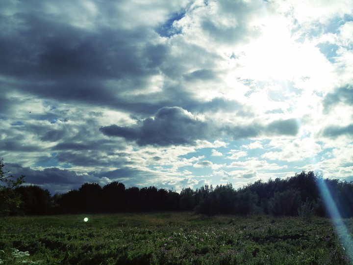Rich Sky