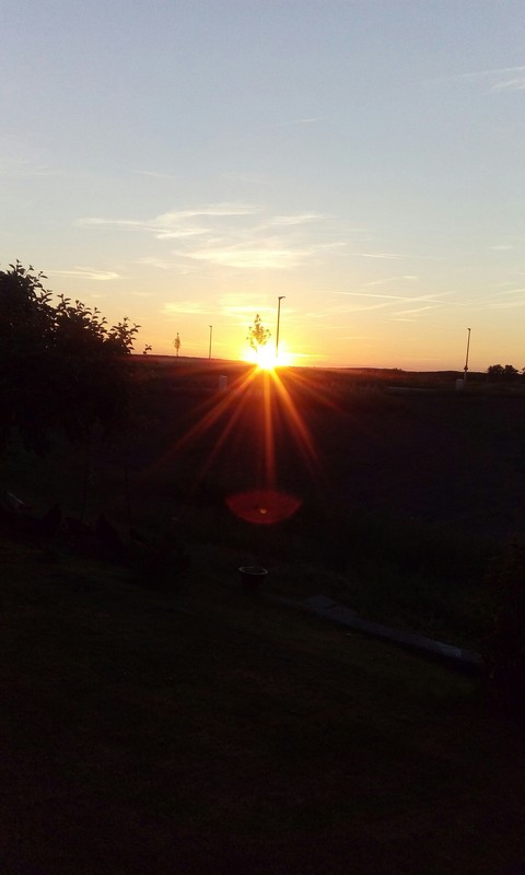 In the evening