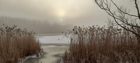 Winters Morning