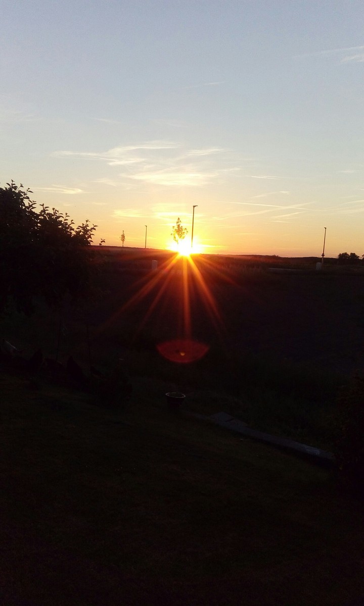 In the evening