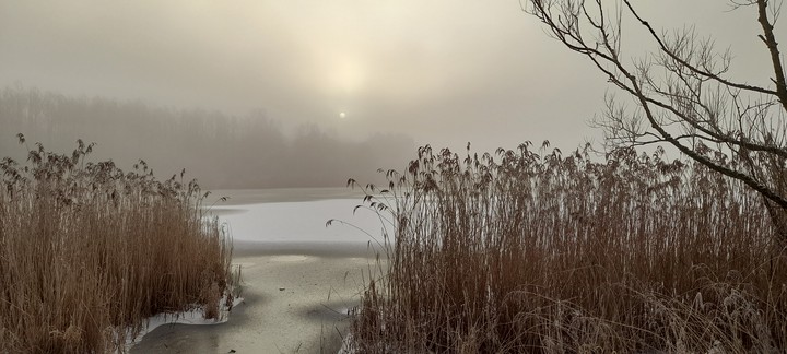 Winters Morning