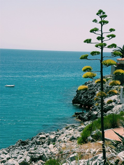 Nature in Italy