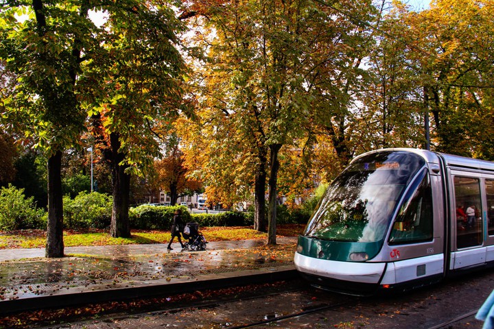 Autumn Colors..