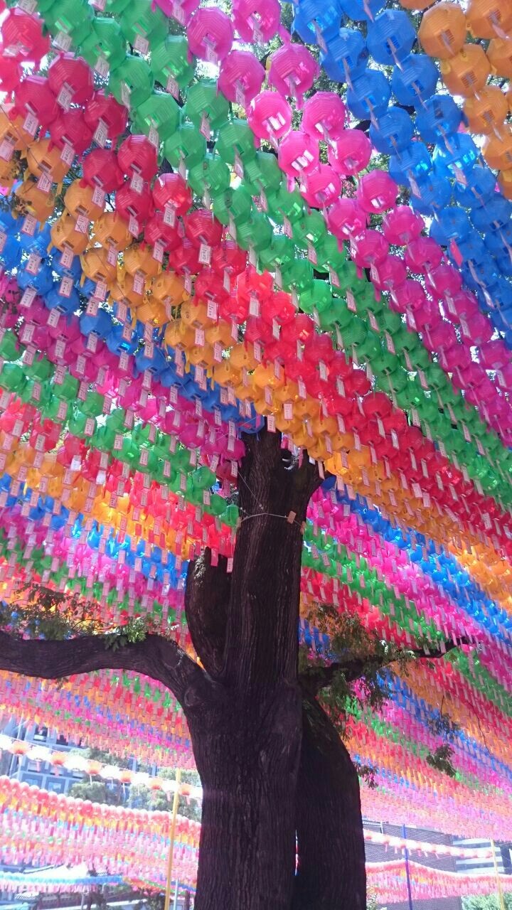 look at all those colors